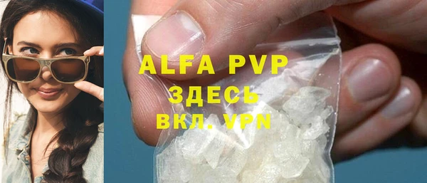 индика Абаза