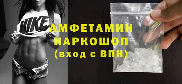 индика Абаза