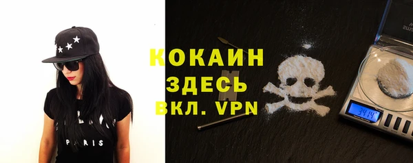 spice Алзамай
