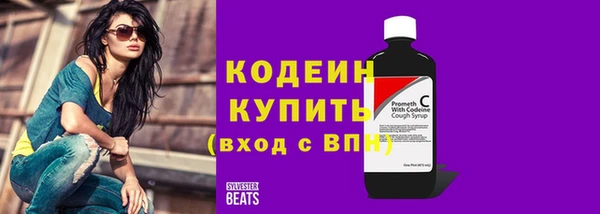 индика Абаза
