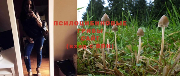 индика Абаза