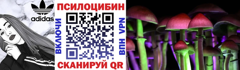 Галлюциногенные грибы ЛСД Балашиха