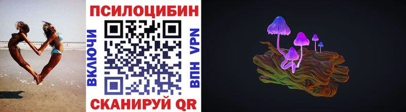 где продают наркотики  Балашиха  сайты даркнета как зайти  Псилоцибиновые грибы Psilocybe  blacksprut tor 