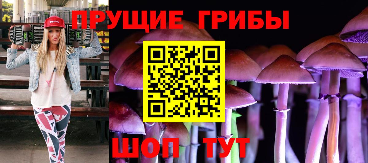 Балашиха  Псилоцибиновые грибы мицелий  Вход с VPN 